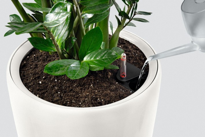 как горшки с автополивом экономят время в офисе как горшки с автополивом экономят время в офисе