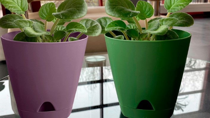 уход за растениями в офисе с горшками автополива уход за растениями в офисе с горшками автополива